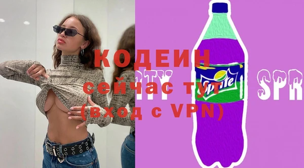 спиды Гусев