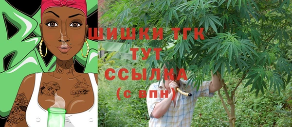 индика Тобольск