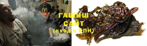 спиды Гусев