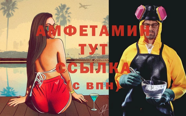 амф Вязьма
