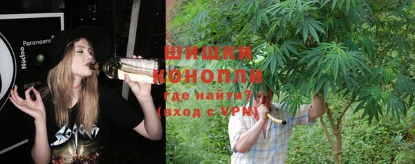 спиды Гусев