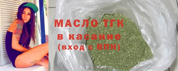 дмт Тавда