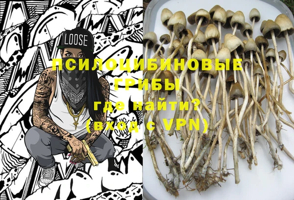амф Вязники