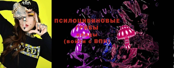 СК Гусь-Хрустальный