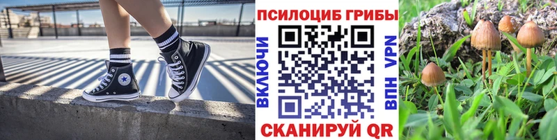 цена   Жирновск  Псилоцибиновые грибы мицелий 